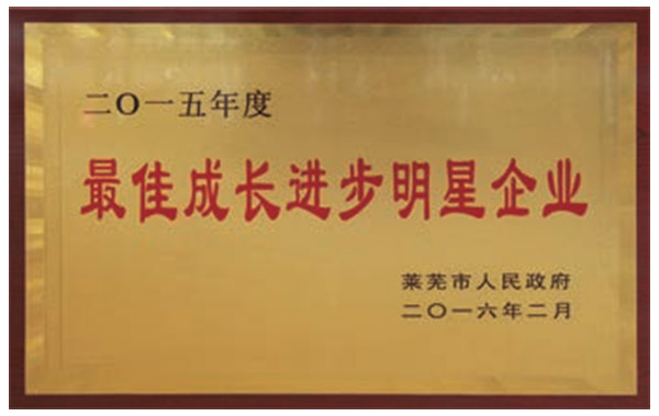 2015�����ѳ��L�M��������I