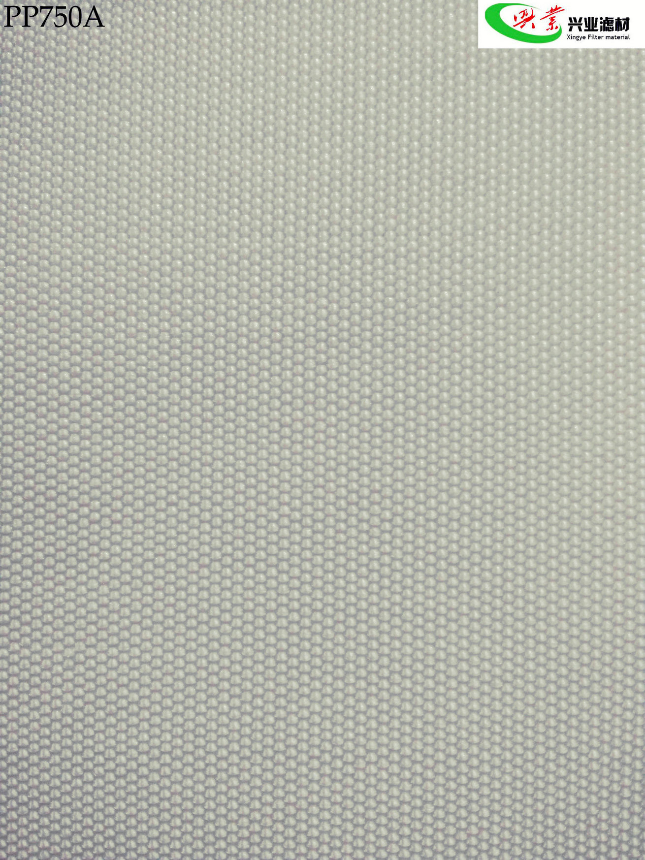 ���]�C���^�V��